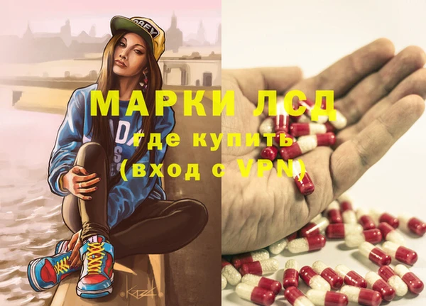 шишки Володарск
