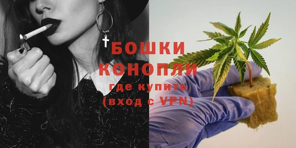 шишки Володарск